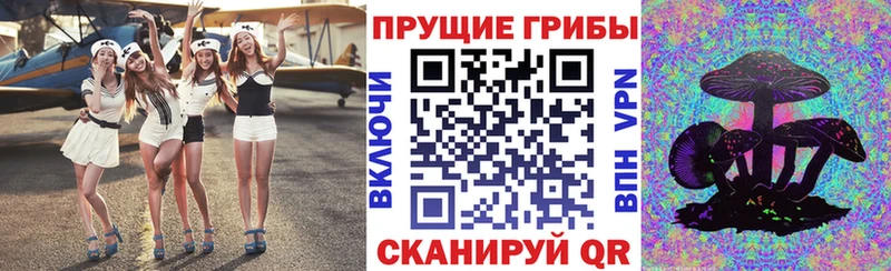 Галлюциногенные грибы ЛСД что такое Котово